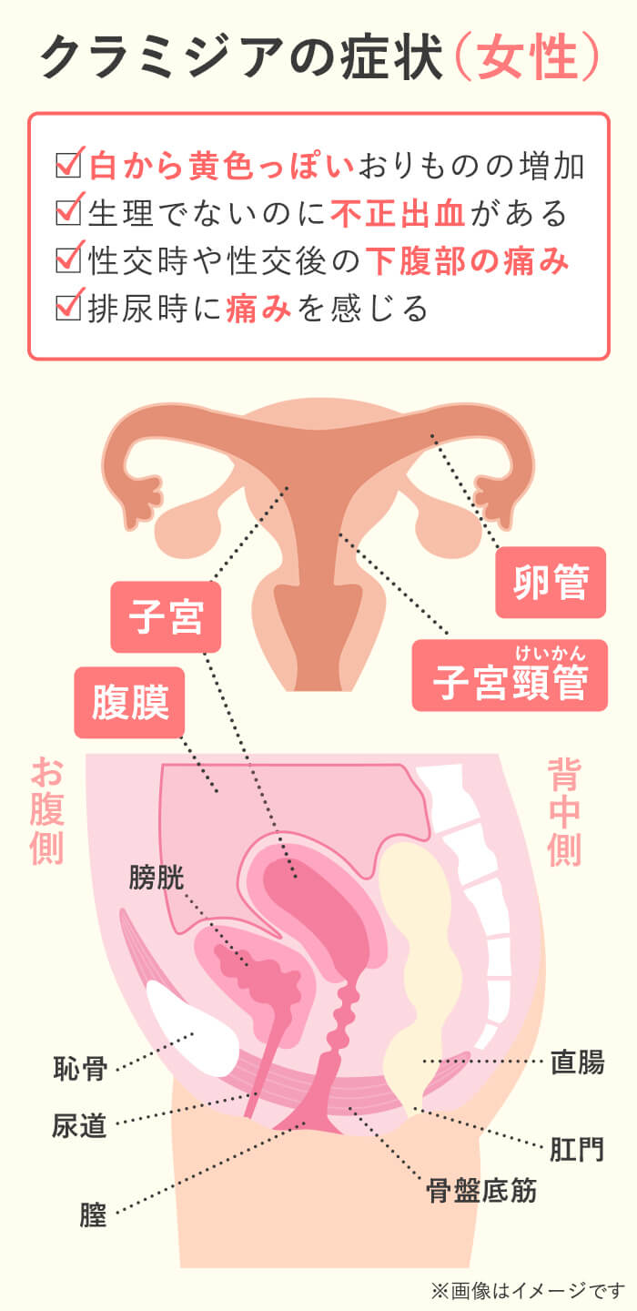 クンニ っ て 何