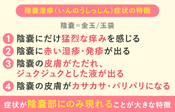 陰嚢湿疹の症状の特徴