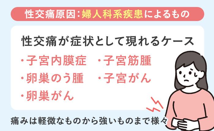 婦人科系疾患による性交痛が起こるケース